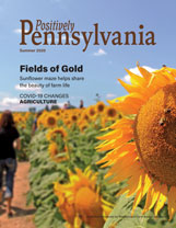 Summer 2020 Positively PA cover