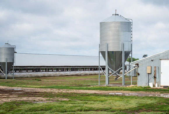 DEP Scales Back Proposal to Increase CAFO Permit Fees