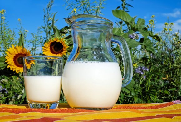 Labeling of Plant-Based Milk Alternatives and Voluntary Nutrient Statements – Comments