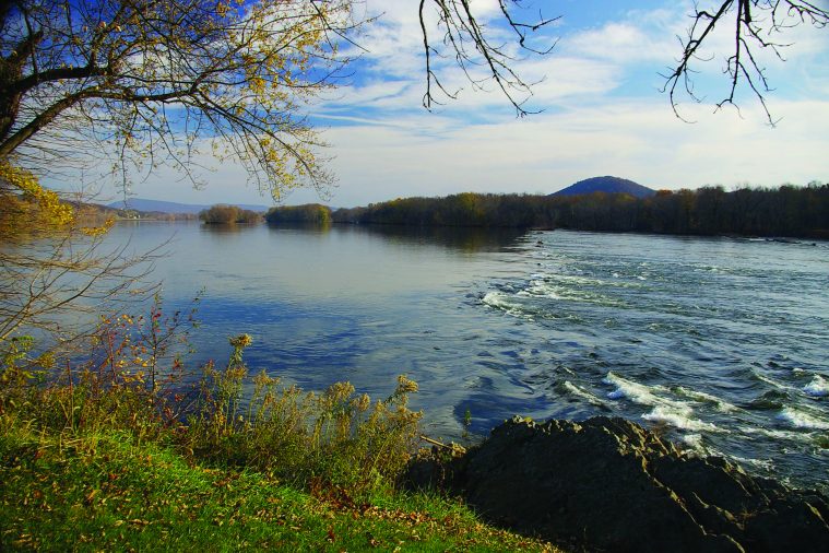 Susquehanna River Showing Improvements in Nutrient Pollution - Pennsylvania  Farm Bureau