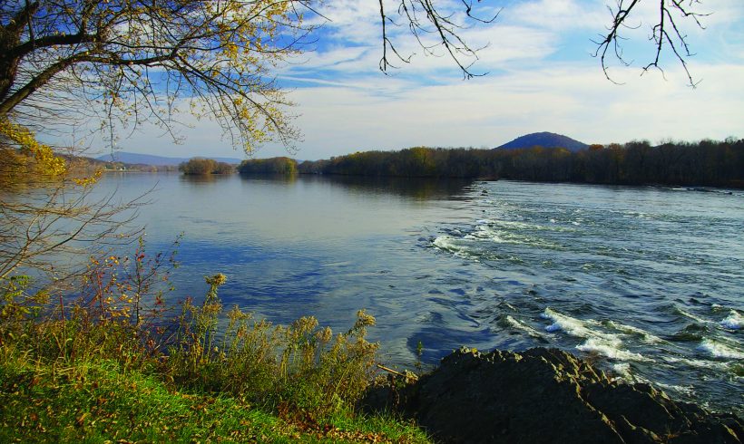 Susquehanna River Showing Improvements in Nutrient Pollution