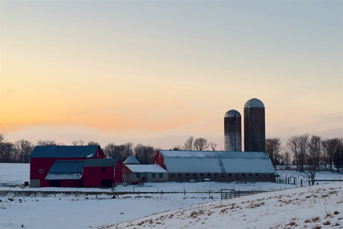 sunsetting behind barn buildings in snow