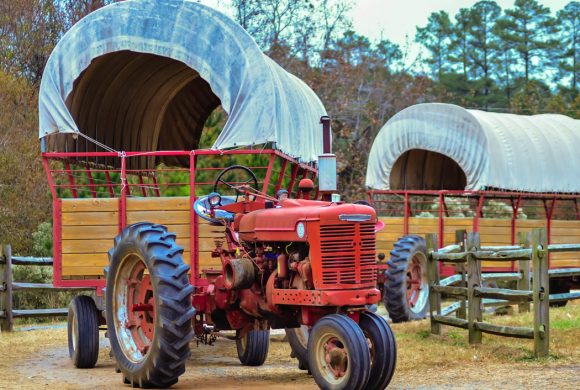 PDA Enforcement of Hayride Attractions Will Start in 2023