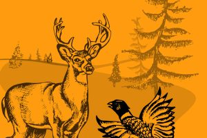 FarmerRightsObligations