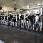 Apply for the Young Dairy Professionals Scholarship and Attend the PA Dairy Summit