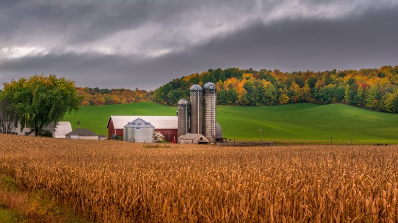 Pennsylvania Farm Bureau Applauds USDA’s Swift Action on the Release of ECAP Funds