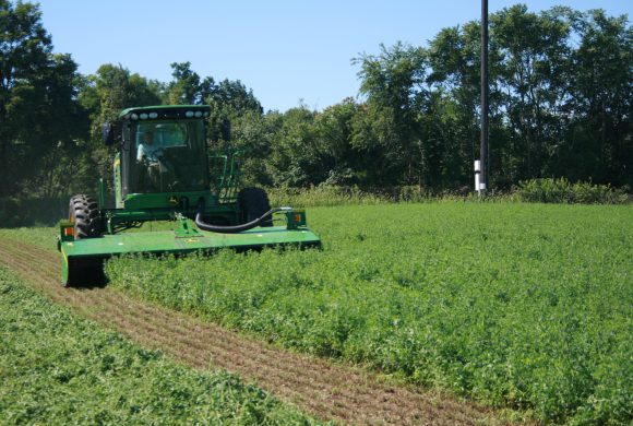 HB 242 Moves Forward