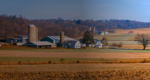 Grants and Funding Opportunities