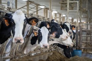 Pennsylvania Farm Bureau Offers Testimony On Over-Order Premium